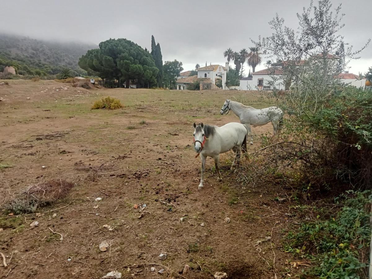 Casa Blanquita Daire Mijas Dış mekan fotoğraf